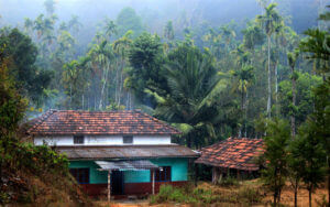 maleegaalada-malenaadu