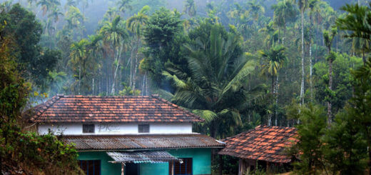 Maleegaalada Malenaadu